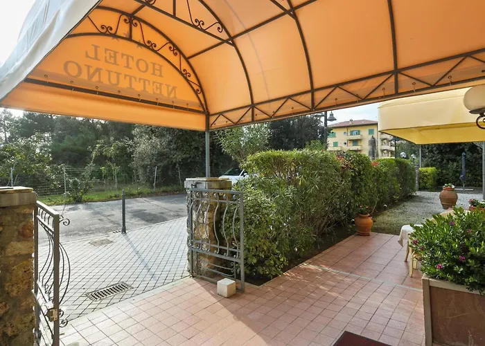 Hotel Nettuno Marina di Pietrasanta