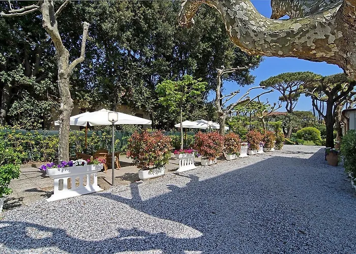 Hotel Nettuno Marina di Pietrasanta